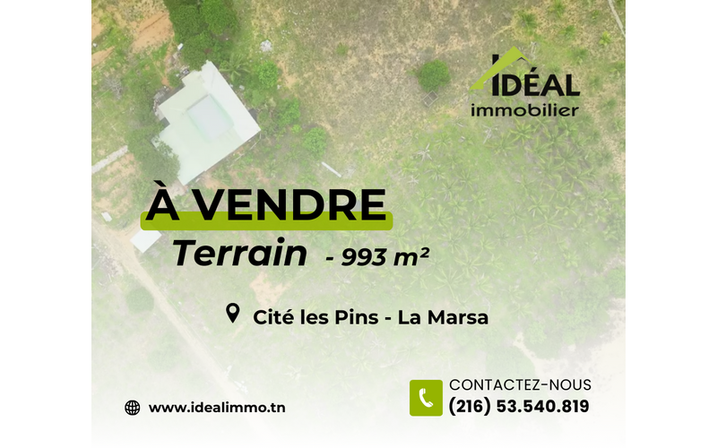 Terrain